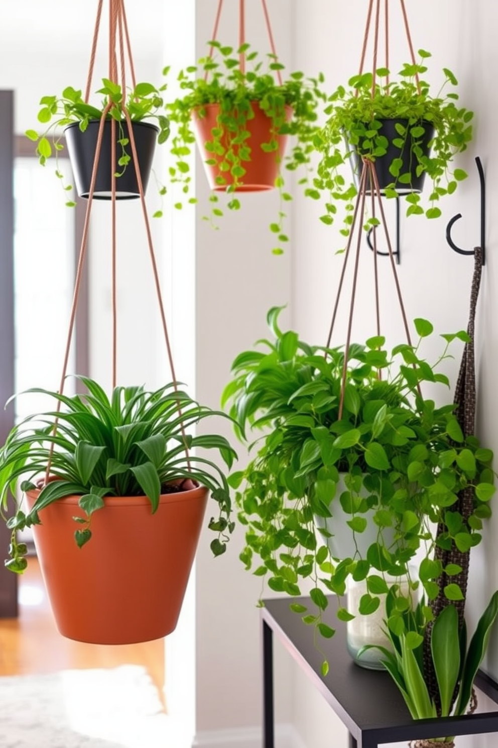 Hanging planters filled with lush green plants create a vibrant and refreshing atmosphere in any space. The planters are suspended at varying heights to add visual interest and depth, enhancing the overall aesthetic of the room. Narrow entryway design ideas focus on maximizing space while maintaining style. Incorporate multifunctional furniture such as a slim console table and wall-mounted hooks to create an organized and inviting entrance.